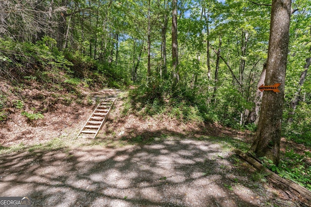 8378 Dillard Rd, Scaly, NC 28775 - view of yard with stairway and a view of trees