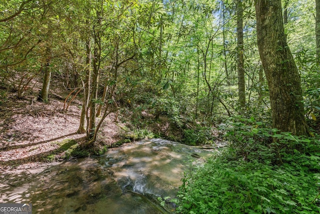 8378 Dillard Rd, Scaly, NC 28775 - view of nature