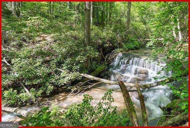 8378 Dillard Rd, Scaly, NC 28775 - view of undeveloped land