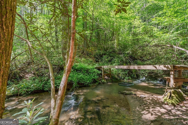 8378 Dillard Rd, Scaly, NC 28775 - view of yard with a wooded view