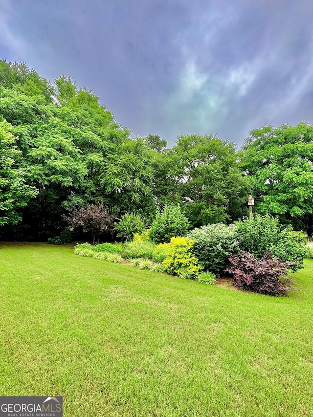 523 Huntleigh Dr, Winder, GA 30680 - view of green lawn