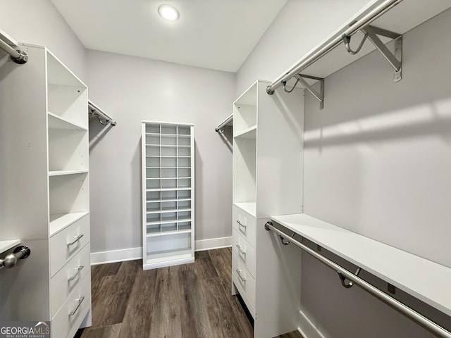 270 Meadow Crest Dr, Cleveland, GA 30528 - walk in closet featuring dark wood-style flooring