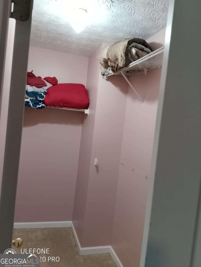 2918 Egret Ln, Austell, GA 30106 - walk in closet featuring carpet flooring
