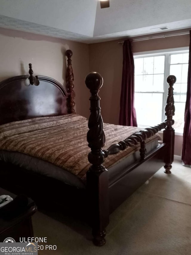2918 Egret Ln, Austell, GA 30106 - carpeted bedroom with multiple windows and ceiling fan