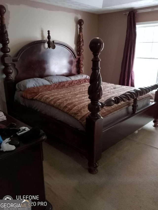 2918 Egret Ln, Austell, GA 30106 - view of carpeted bedroom