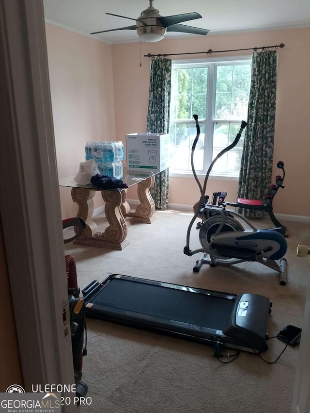 2918 Egret Ln, Austell, GA 30106 - workout area featuring carpet, a ceiling fan, and baseboards