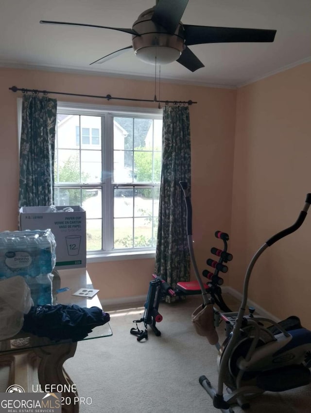 2918 Egret Ln, Austell, GA 30106 - exercise room featuring a ceiling fan, carpet flooring, plenty of natural light, and ornamental molding