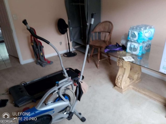 2918 Egret Ln, Austell, GA 30106 - exercise room featuring carpet flooring and baseboards