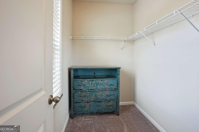106 Logan Pass Dr, Loganville, GA 30052 - walk in closet with carpet
