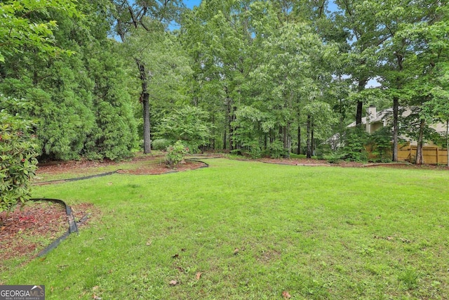 226 Long Island Dr, Whitesburg, GA 30185 - view of green lawn