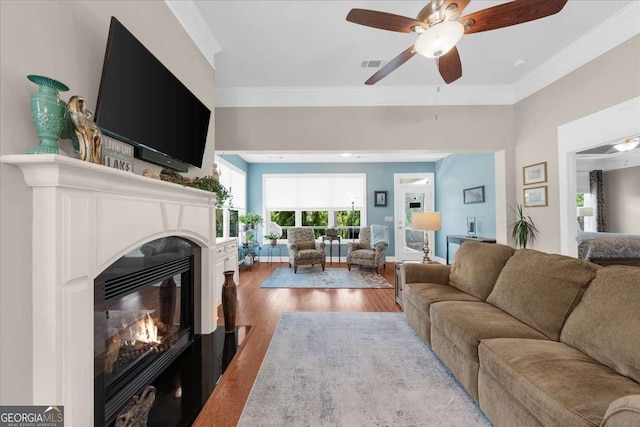 3554 Black Cherry Pt SW, Gainesville, GA 30504 - living room featuring wood finished floors, ornamental molding, a glass covered fireplace, and ceiling fan