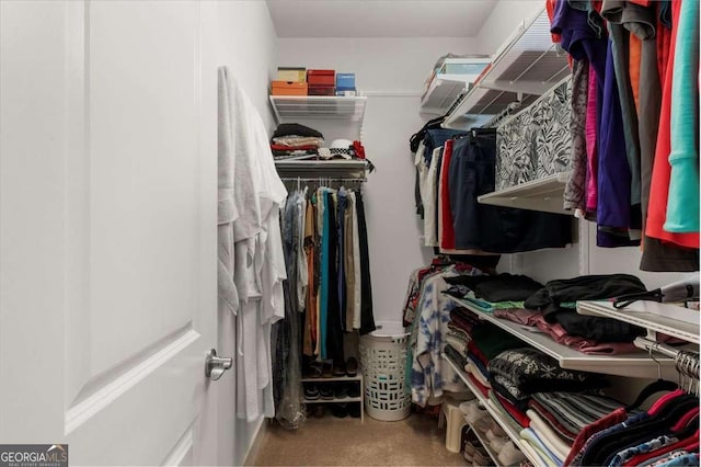 3554 Black Cherry Pt SW, Gainesville, GA 30504 - spacious closet with carpet