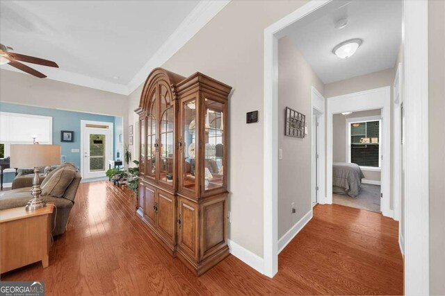 3554 Black Cherry Pt SW, Gainesville, GA 30504 - hallway featuring wood finished floors, healthy amount of natural light, and baseboards