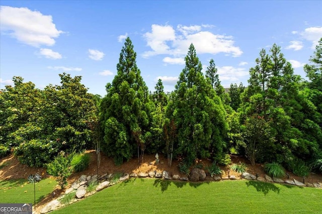 3554 Black Cherry Pt SW, Gainesville, GA 30504 - view of grassy yard