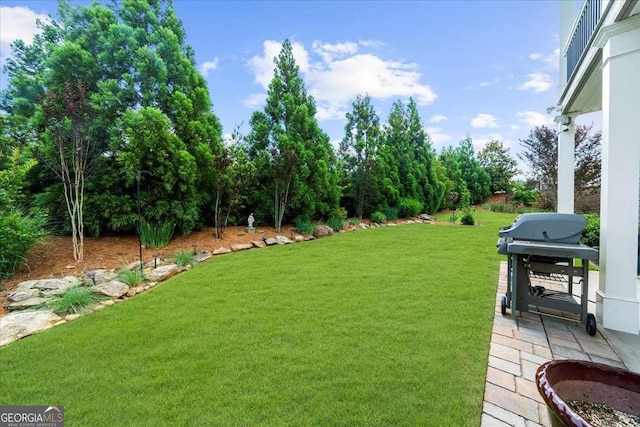3554 Black Cherry Pt SW, Gainesville, GA 30504 - view of green lawn