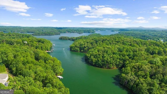 3554 Black Cherry Pt SW, Gainesville, GA 30504 - aerial view of a forest and a large body of water