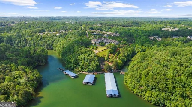 3554 Black Cherry Pt SW, Gainesville, GA 30504 - aerial view of property and surrounding area with a heavily wooded area and a nearby body of water