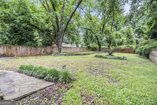 523 Mount Zion, Hapeville, GA 30354 - view of yard