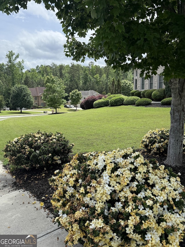 2360 Barrington Trace Cir SW, South Fulton, GA 30331 - view of green lawn