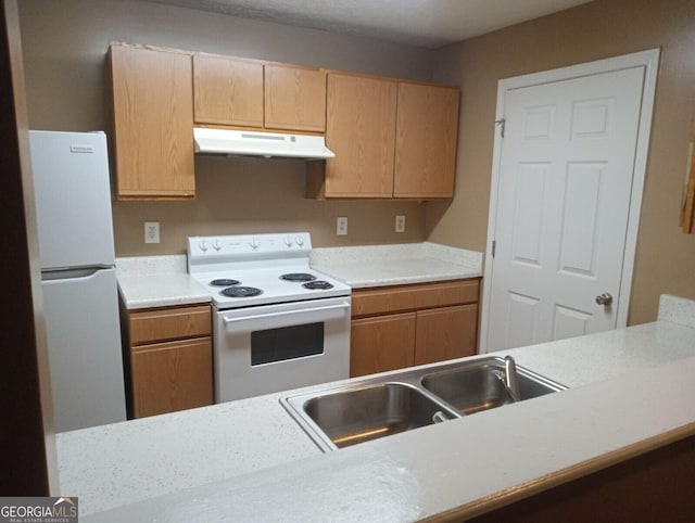 8202 Fairington Village Dr, Lithonia, GA 30038 - kitchen featuring under cabinet range hood, white appliances, a sink, and light countertops