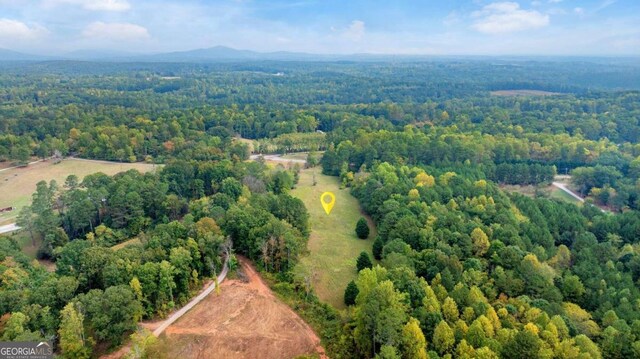 150 Sperin Cabinet Rd, Ball Ground, GA 30107