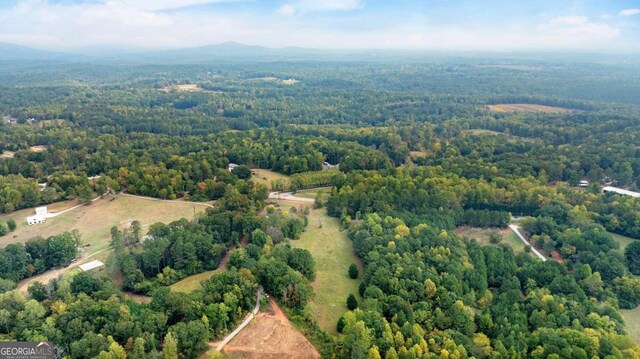 150 Sperin Cabinet Rd, Ball Ground, GA 30107