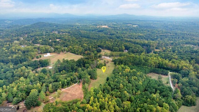 150 Sperin Cabinet Rd, Ball Ground, GA 30107