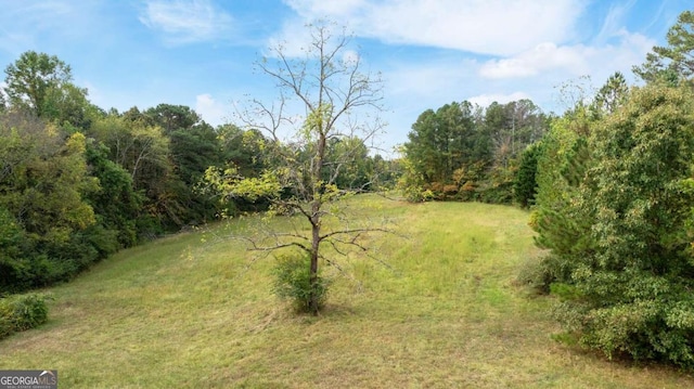 150 Sperin Cabinet Rd, Ball Ground, GA 30107