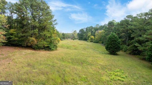 150 Sperin Cabinet Rd, Ball Ground, GA 30107