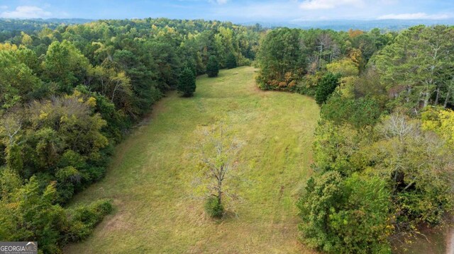 150 Sperin Cabinet Rd, Ball Ground, GA 30107