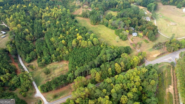 150 Sperin Cabinet Rd, Ball Ground, GA 30107