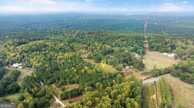 150 Sperin Cabinet Rd, Ball Ground, GA 30107