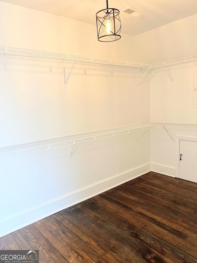 125 Oak Ave, Carrollton, GA 30117 - walk in closet with dark wood-style floors