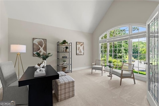3600 Goldenrod Dr, Alpharetta, GA 30005 - office area featuring light colored carpet, baseboards, and high vaulted ceiling