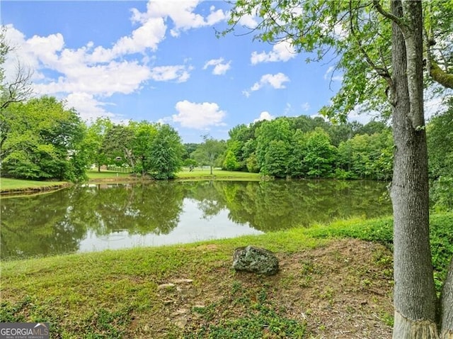 789 Rutland Ct, Lithonia, GA 30058 - water view