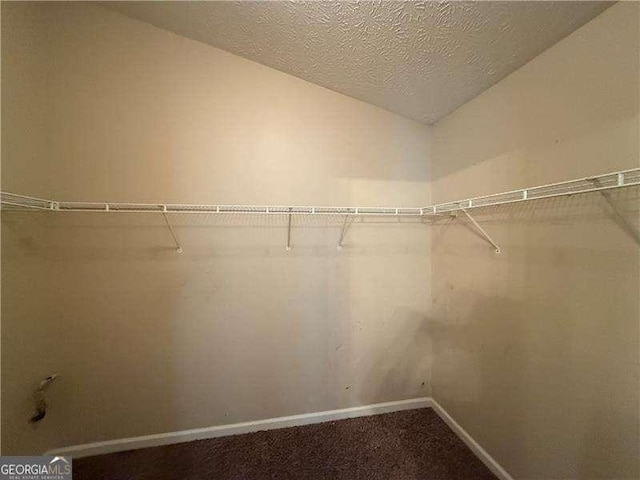 124 Sparkling Spring Trl, Mcdonough, GA 30252 - walk in closet with dark carpet