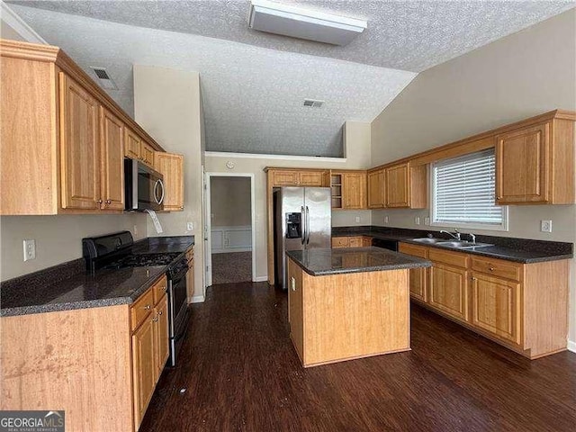 124 Sparkling Spring Trl, Mcdonough, GA 30252 - kitchen with appliances with stainless steel finishes, dark wood finished floors, a center island, lofted ceiling, and a textured ceiling