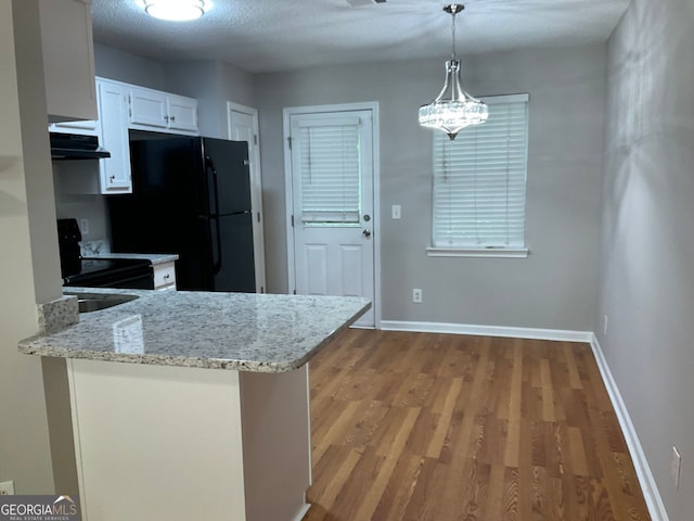 233 Winterville, Rockmart, GA 30153 - kitchen with electric range, exhaust hood, freestanding refrigerator, wood finished floors, and white cabinetry