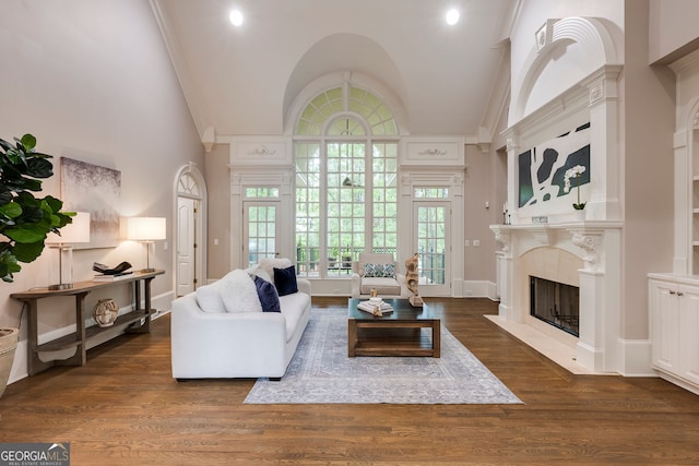 314 Caruso Ct, Sandy Springs, GA 30350 - living area with a high end fireplace, dark wood finished floors, high vaulted ceiling, and recessed lighting