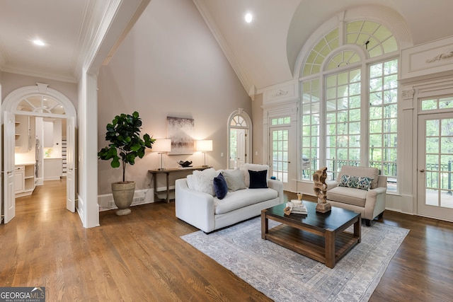 314 Caruso Ct, Sandy Springs, GA 30350 - living room with crown molding, wood finished floors, and a towering ceiling