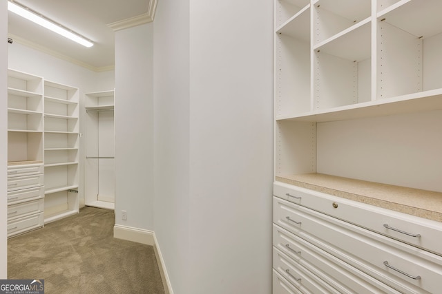 314 Caruso Ct, Sandy Springs, GA 30350 - spacious closet featuring light carpet