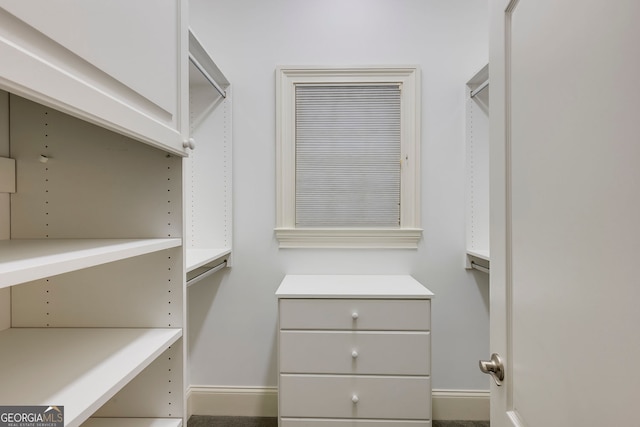 314 Caruso Ct, Sandy Springs, GA 30350 - view of walk in closet