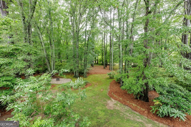 314 Caruso Ct, Sandy Springs, GA 30350 - view of yard