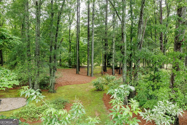 314 Caruso Ct, Sandy Springs, GA 30350 - view of yard