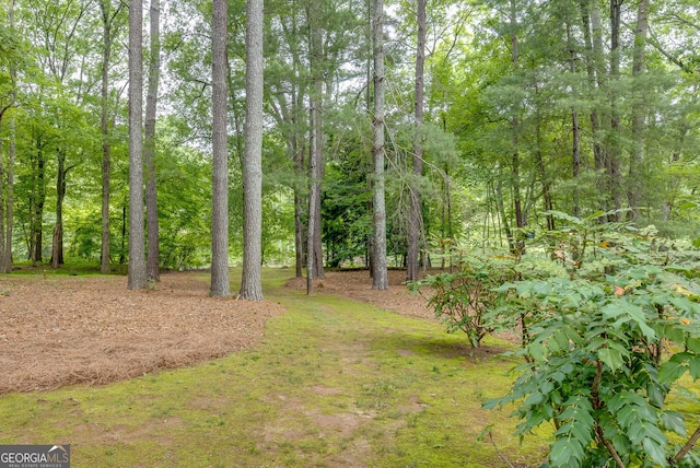 314 Caruso Ct, Sandy Springs, GA 30350 - view of yard