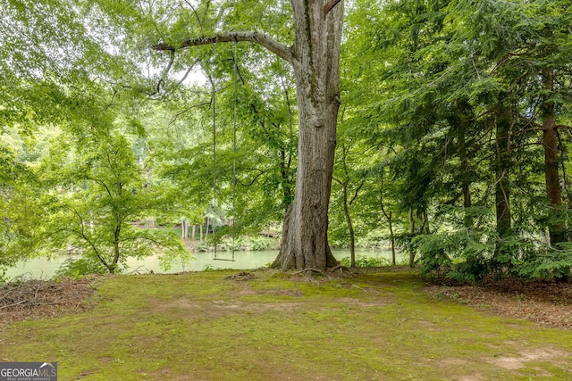 314 Caruso Ct, Sandy Springs, GA 30350 - view of yard