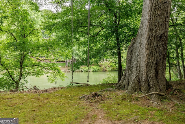 314 Caruso Ct, Sandy Springs, GA 30350 - water view
