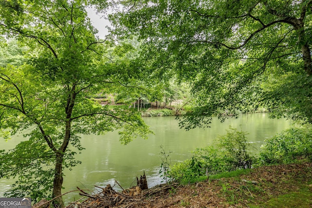 314 Caruso Ct, Sandy Springs, GA 30350 - water view