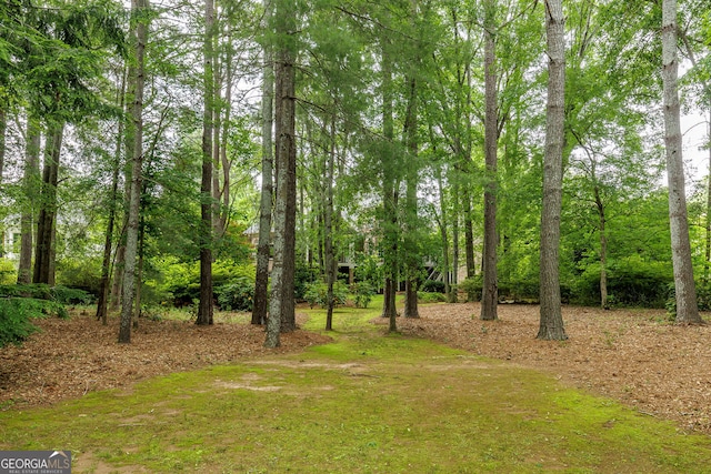 314 Caruso Ct, Sandy Springs, GA 30350 - view of yard