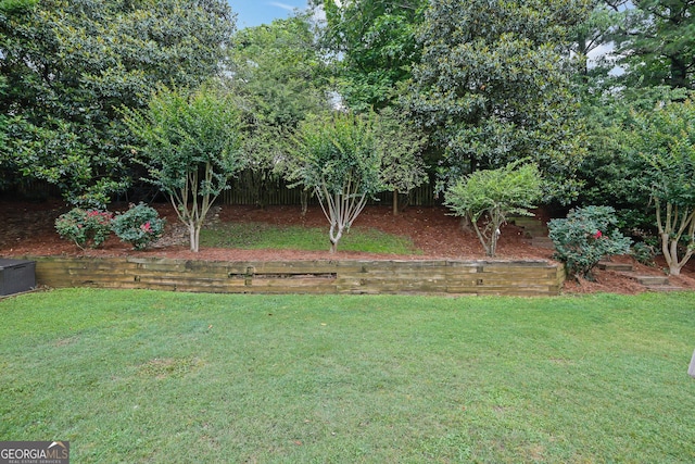 4218 Sandy Branch Dr, Buford, GA 30519 - view of green lawn
